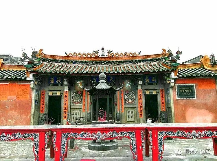 陆丰博美 陆丰博美