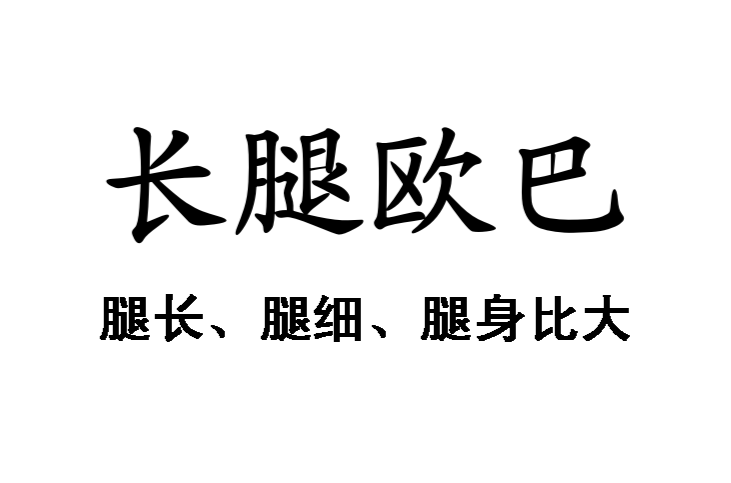 长腿欧巴 长腿欧巴