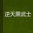 逆天黑武士 逆天黑武士