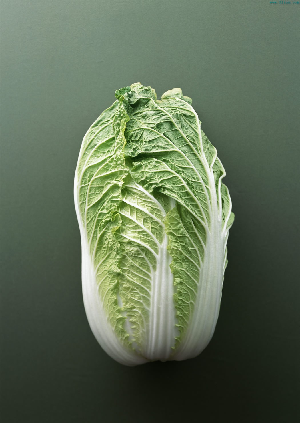 黄牙菜 黄牙菜