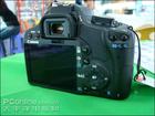 佳能500D 佳能500D