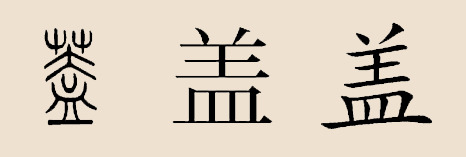 盖姓 盖姓