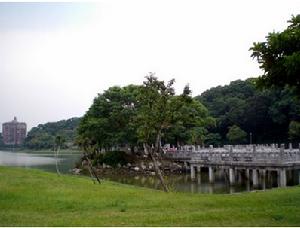 碧湖公园 碧湖公园