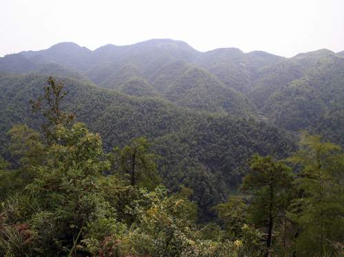 皇帝岭林园 皇帝岭林园