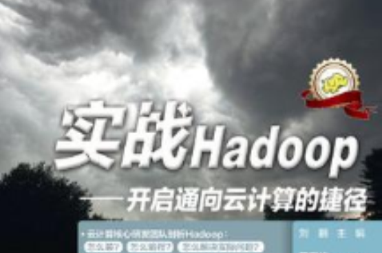 实战Hadoop 实战Hadoop