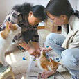 爱猫者协会 爱猫者协会