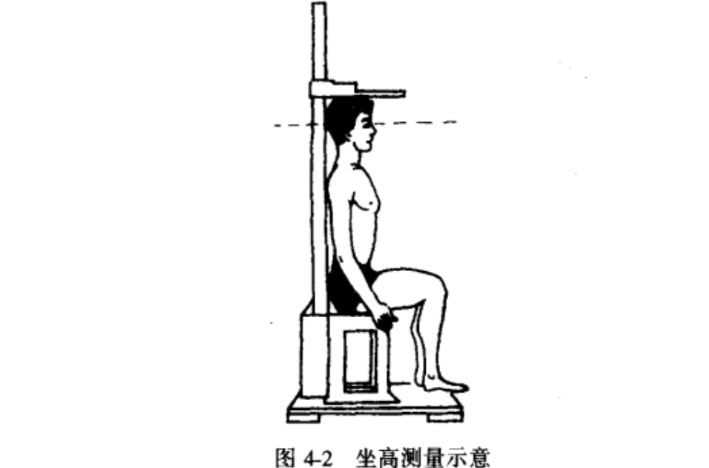 坐高 坐高