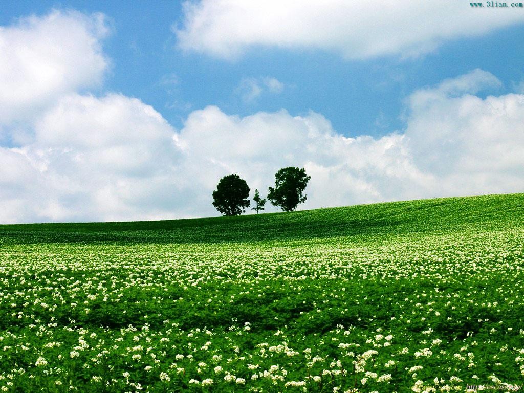 精美自然风景壁纸
