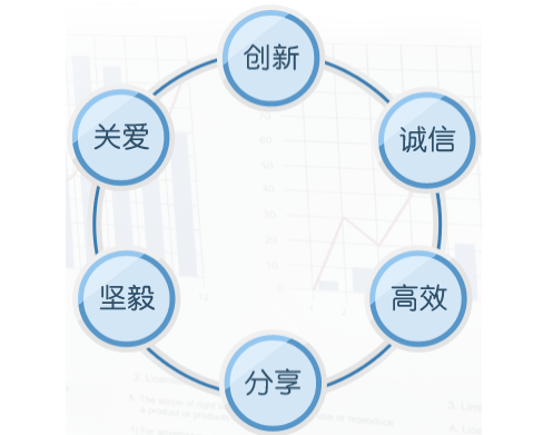 中国正通汽车服务控股有限公司 中国正通汽车服务控股有限公司