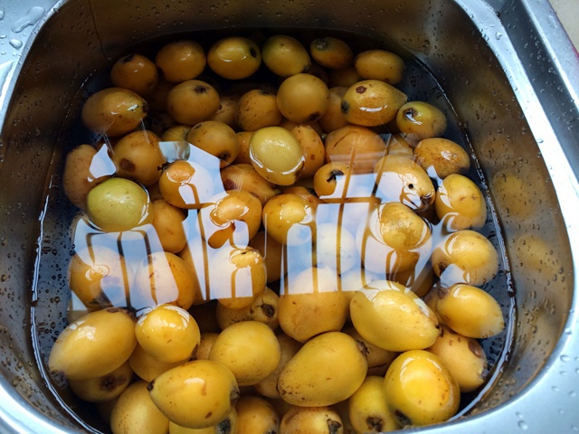 蜜饯枇杷膏