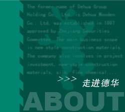 德华集团控股股份有限公司 德华集团控股股份有限公司