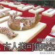 龙垭遗址 龙垭遗址