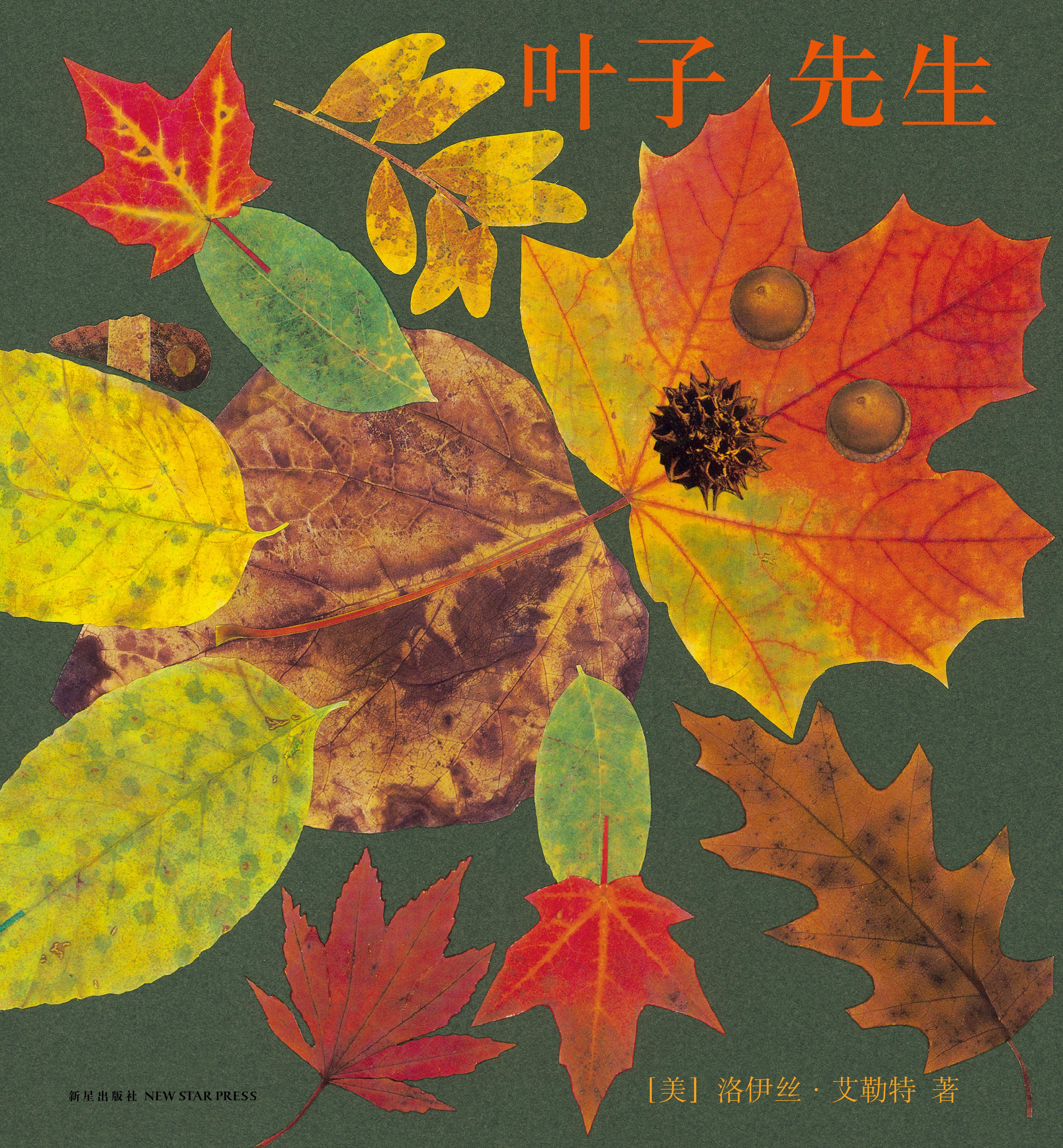 叶子先生 叶子先生