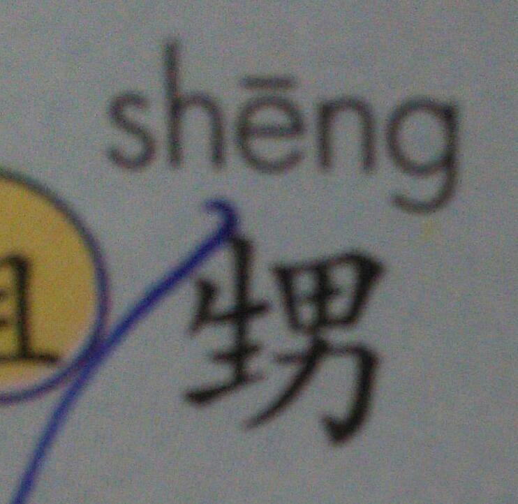 甥 甥