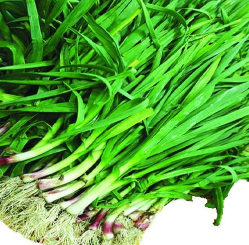 麻辣冻豆腐 麻辣冻豆腐