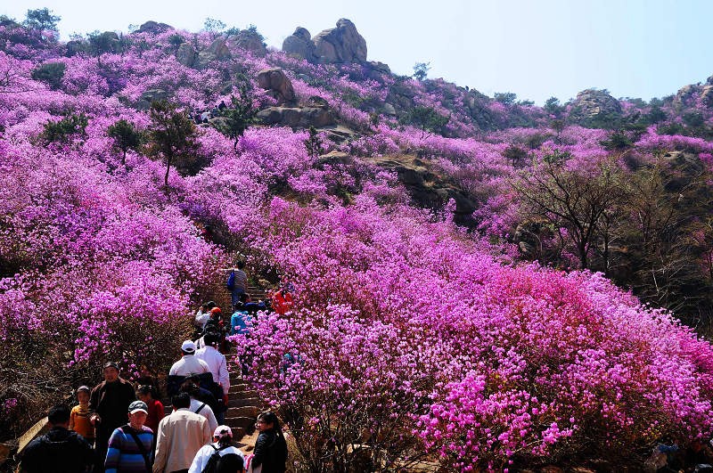 大珠山 大珠山