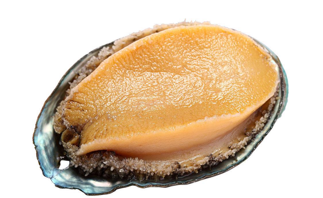 蚝油鲍鱼 蚝油鲍鱼
