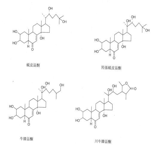 蜕皮激素 蜕皮激素