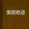美丽奇蹟(舒星尘写的小说)