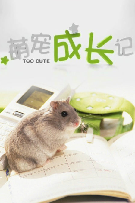 萌宠成长记 萌宠成长记