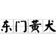 东门黄犬 东门黄犬