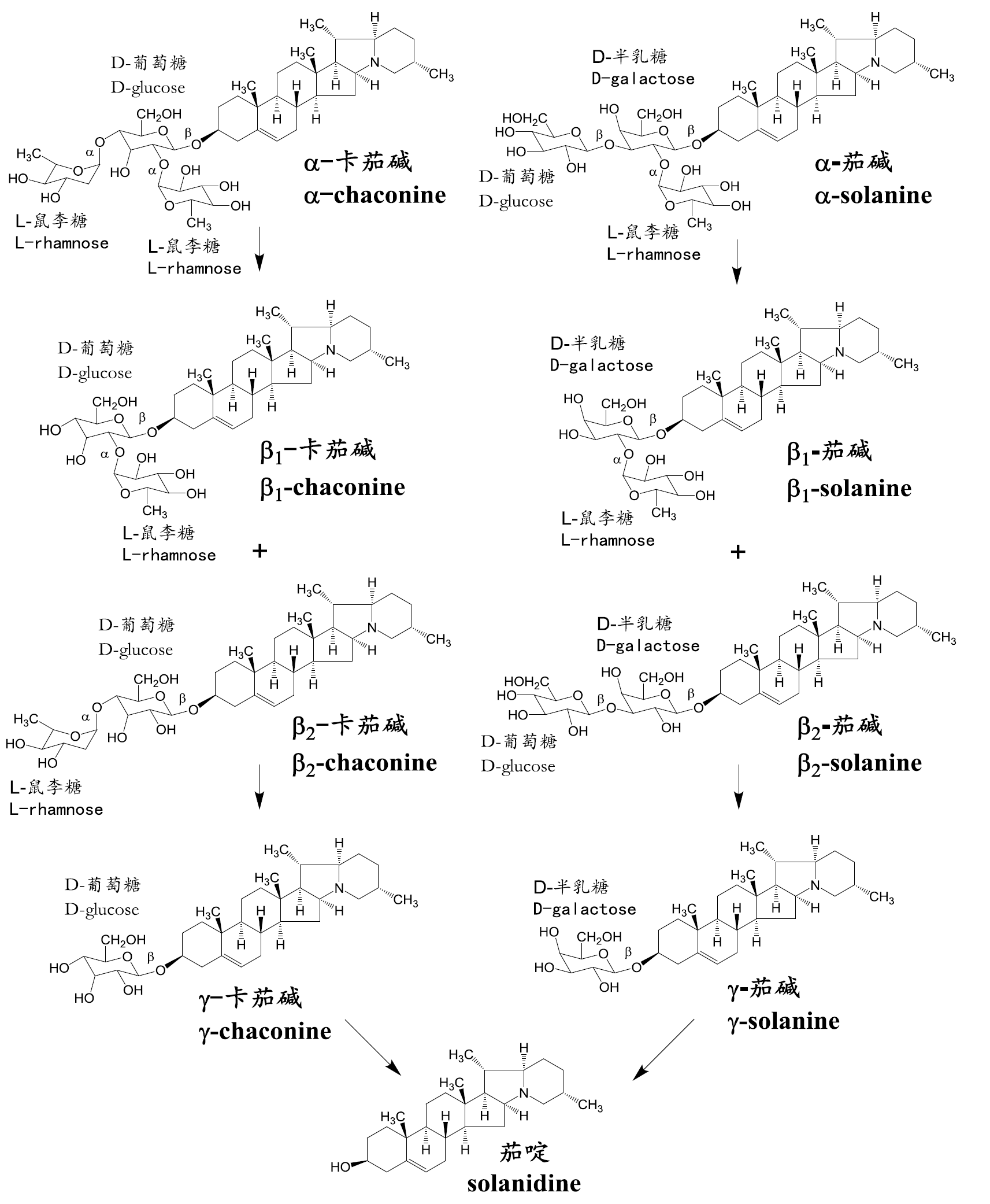 马铃薯糖苷生物硷 马铃薯糖苷生物硷