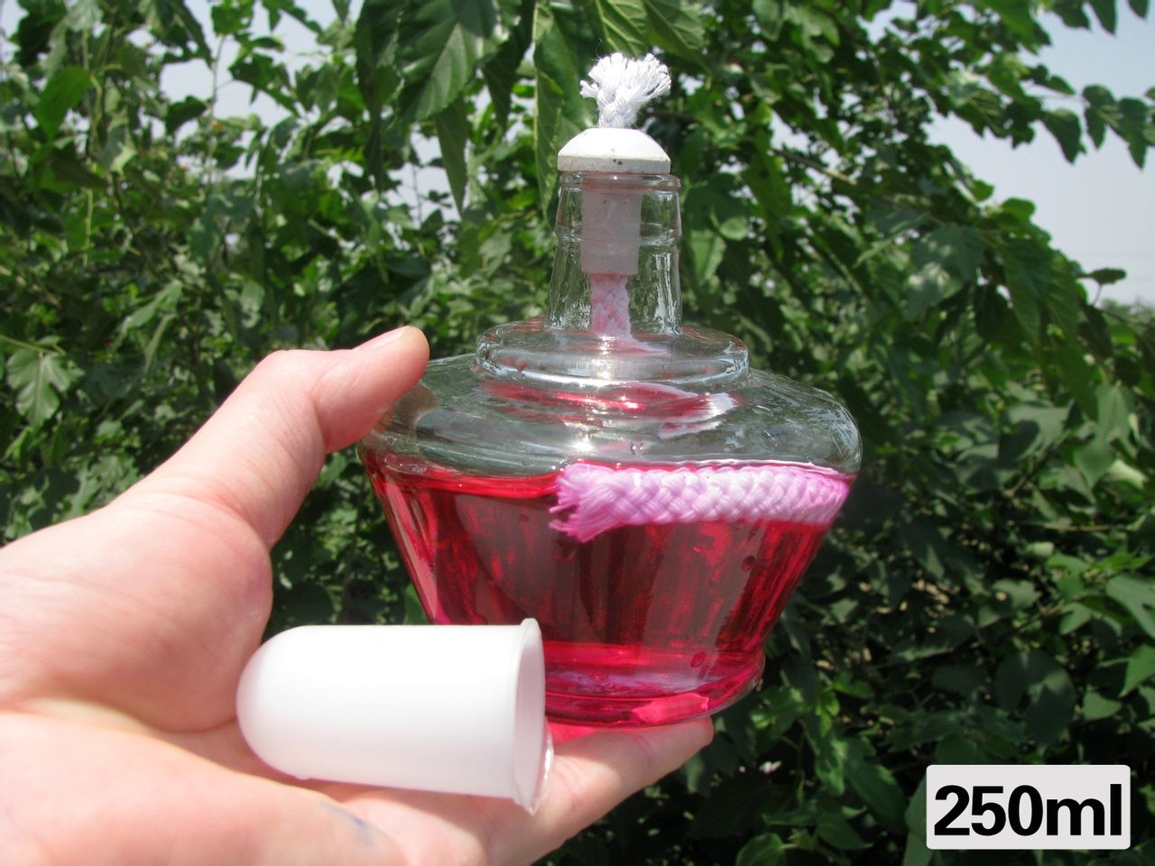 酒精灯 酒精灯