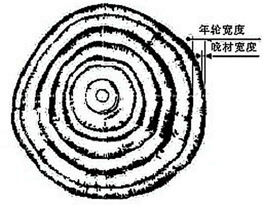 树木年轮气候志 树木年轮气候志