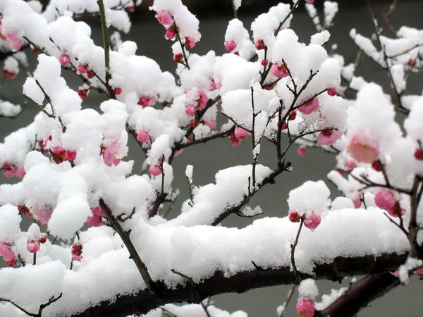 高尔山冰雪世界 高尔山冰雪世界