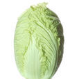 长兴白菜 长兴白菜