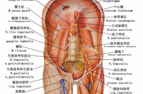 腰骶部 腰骶部