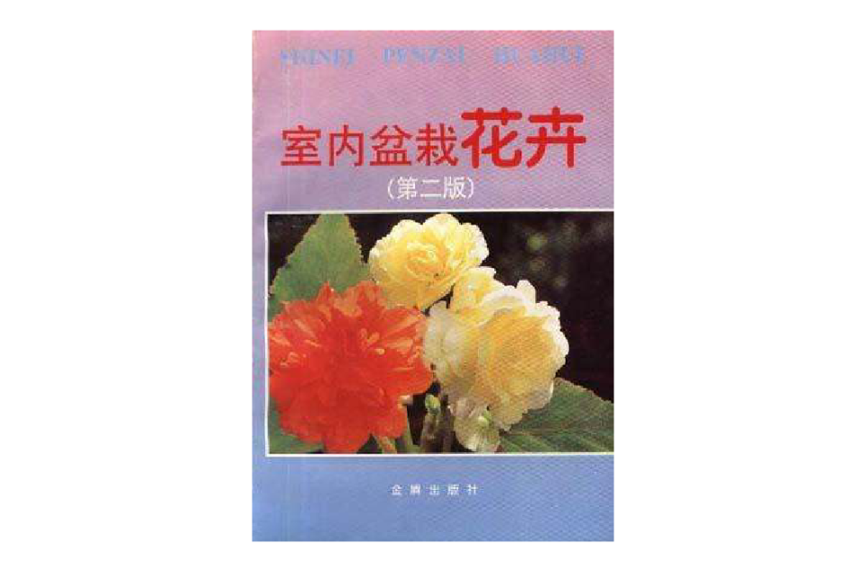 室内盆栽花卉 室内盆栽花卉