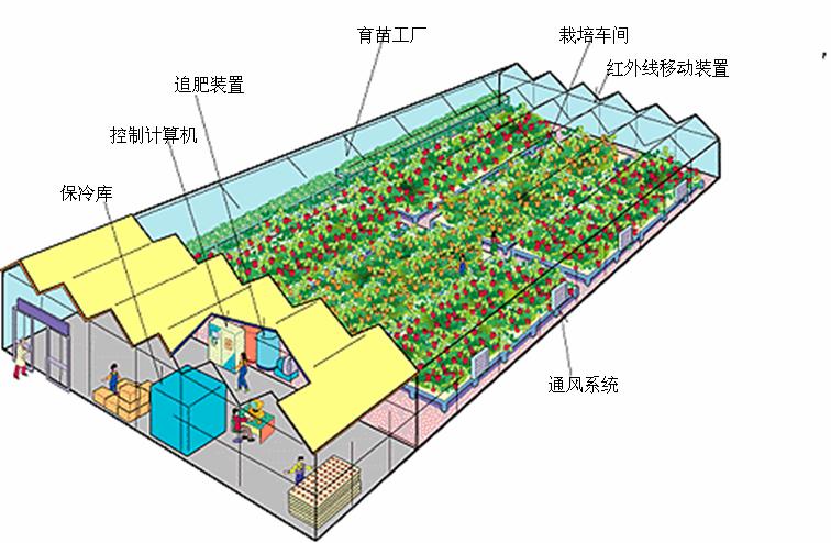 植物工厂 植物工厂