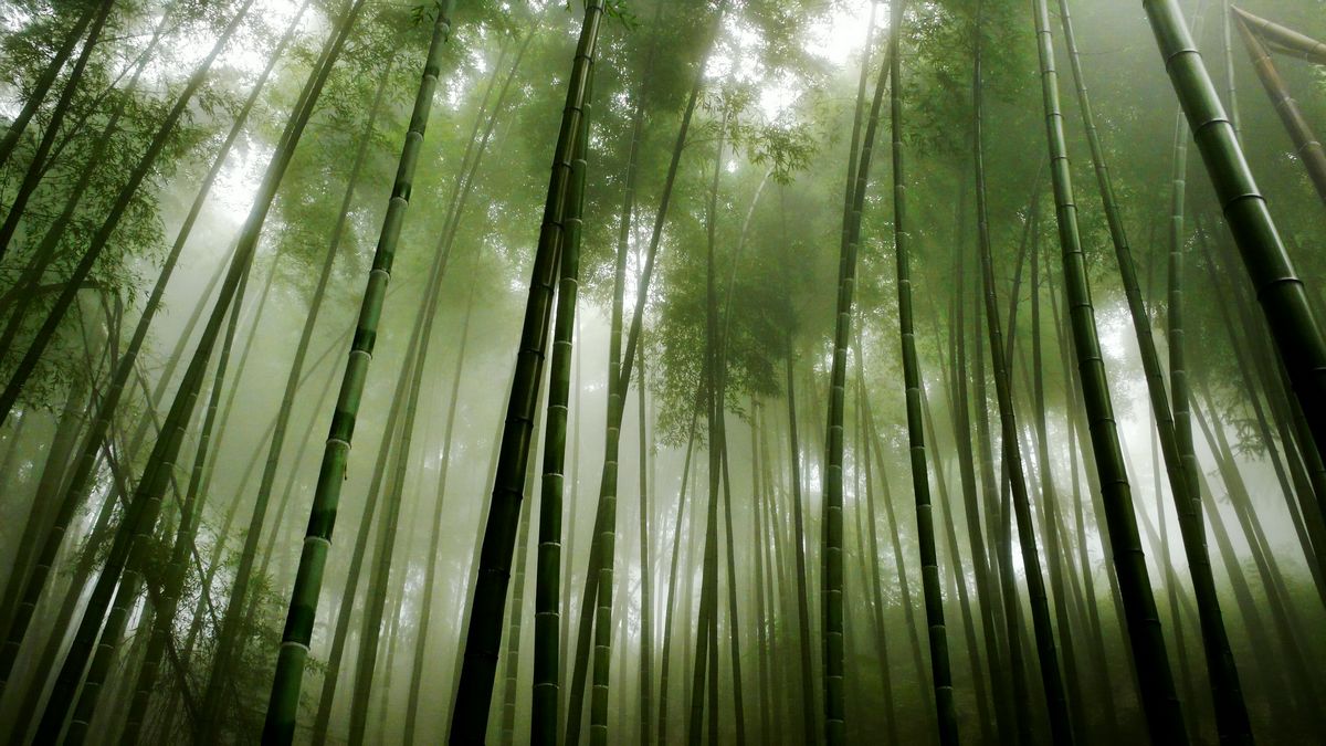 薤山 薤山