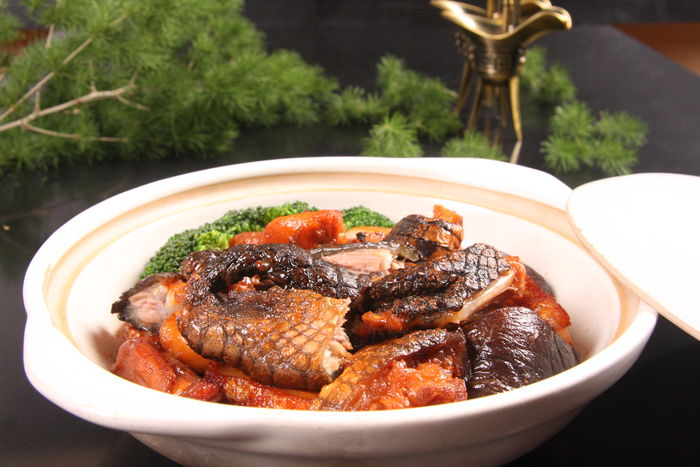 鳄鱼肉 鳄鱼肉