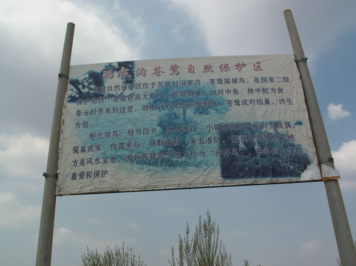 冯家沟苍鹭自然保护区 冯家沟苍鹭自然保护区