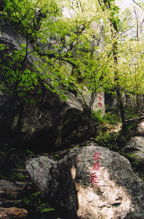 金顶山风景区 金顶山风景区