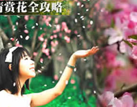 春季赏花 春季赏花