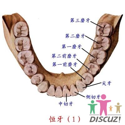 口腔 口腔