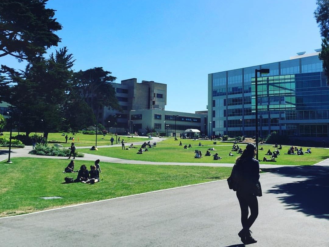 莱斯利大学 莱斯利大学