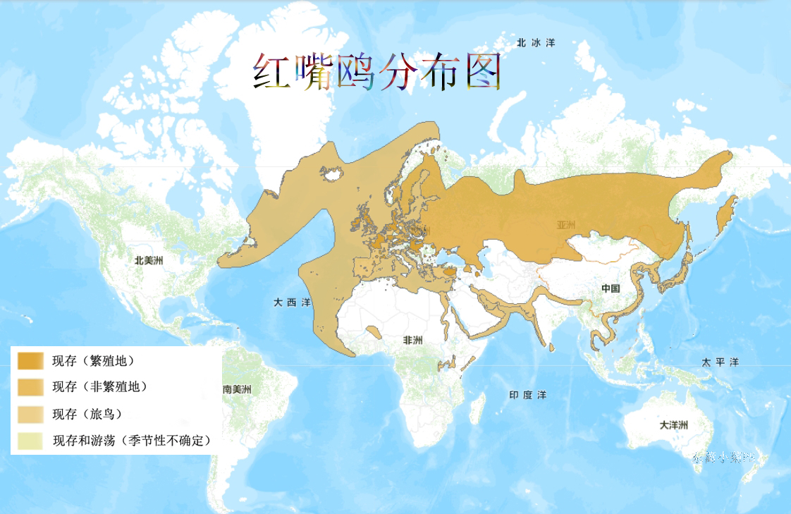 红嘴鸥分布图 红嘴鸥分布图