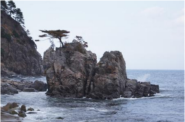 普代村 普代村