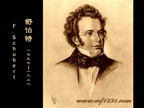法兰兹·舒伯特 法兰兹·舒伯特