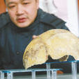 汉阳人 汉阳人