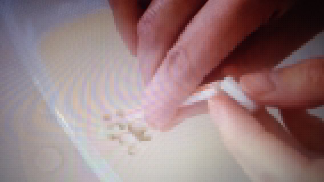 下雪果冻