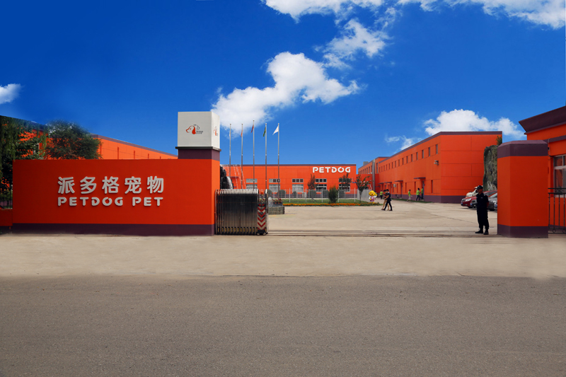 派多格宠物美容学校 派多格宠物美容学校