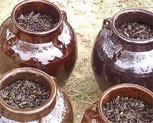 图1 八宝豆豉製作 图1 八宝豆豉製作