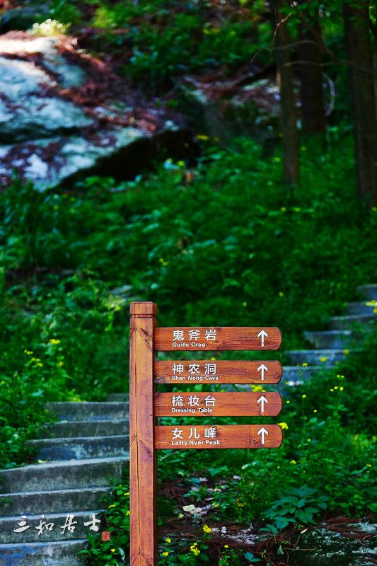 薤山 薤山