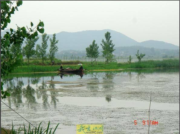 白石湖九十九个汊的传说 白石湖九十九个汊的传说