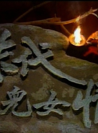 张玉嬿